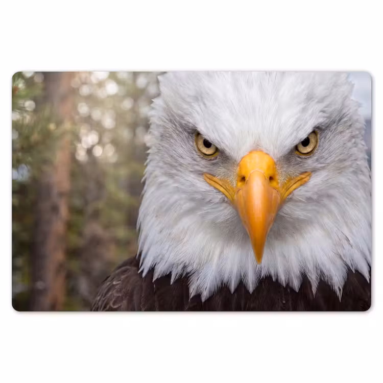 Amerikaans - Zeearend - Portret - Geel Placemat vinyl groot -zzsfeer1_Kitchenyeah-website