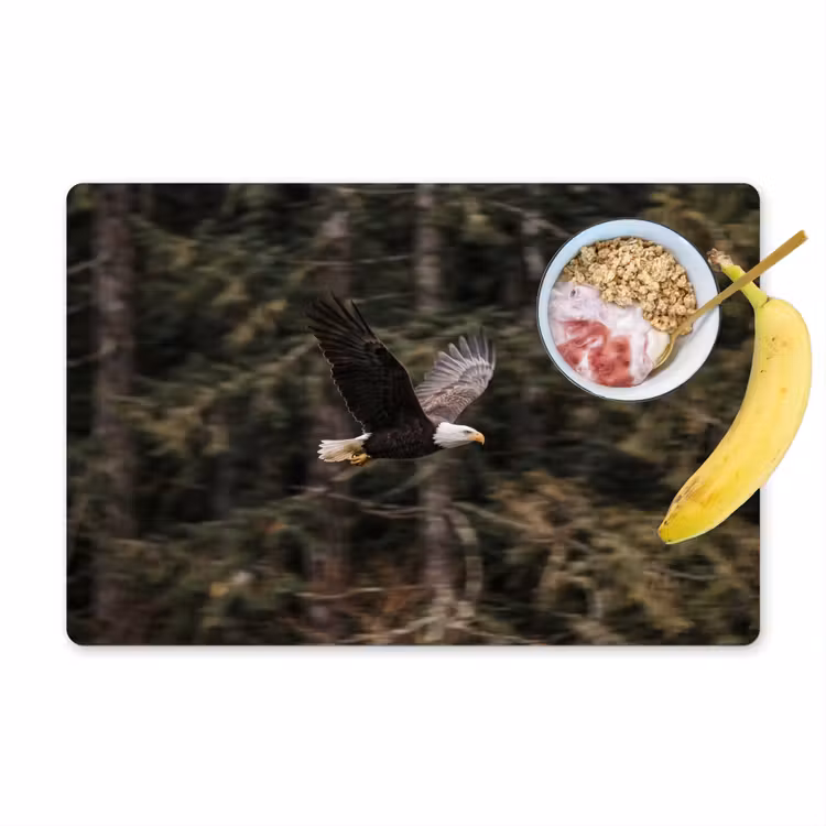 Zeearend - Vliegen - Bos - Natuur Placemat vinyl groot -zzzproduct_Kitchenyeah-website