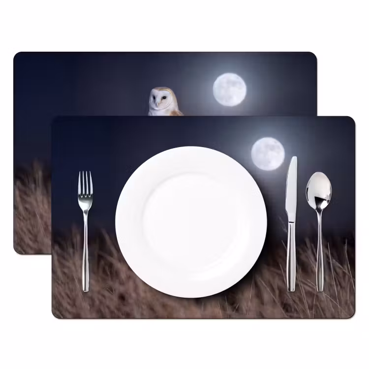 Kerkuil - Maan - Nacht Placemat vinyl groot -zzsfeer2_Kitchenyeah-website
