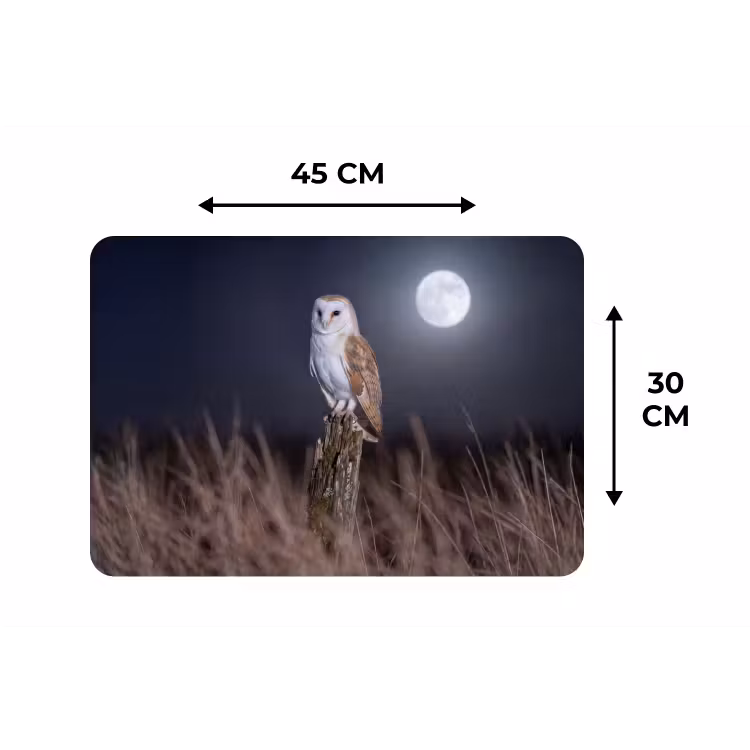 Kerkuil - Maan - Nacht Placemat vinyl groot -specs