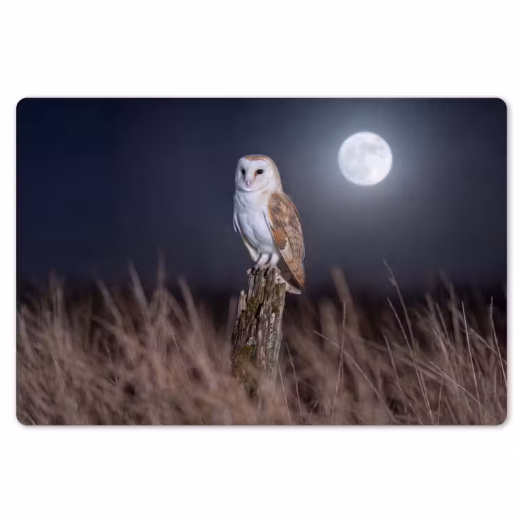 Kerkuil - Maan - Nacht Placemat vinyl groot -zzsfeer1_Kitchenyeah-website