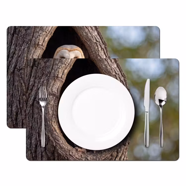 Kerkuil - Boom - Natuur - Bruin Placemat vinyl groot -zzsfeer2_Kitchenyeah-website