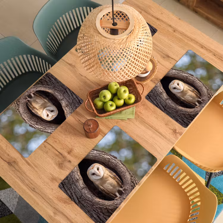 Kerkuil - Boom - Natuur - Bruin Placemat vinyl groot -zzsfeer5_Kitchenyeah-website