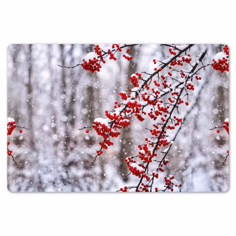 Bessen - Takken - Sneeuw - Winter - Kleurrijk Placemat vinyl groot -zzsfeer1_Kitchenyeah-website