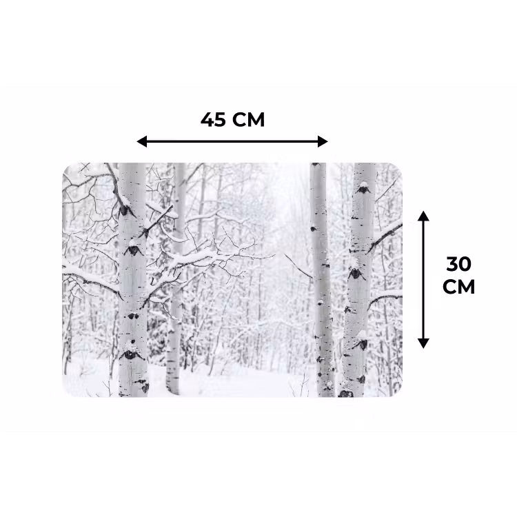 Berkenbomen - Sneeuw - Winter - Bos - Wit Placemat vinyl groot -specs