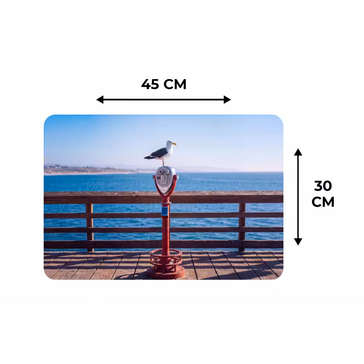 Vogel - Verrekijker - Kust - Zee - Blauw Placemat vinyl groot -specs