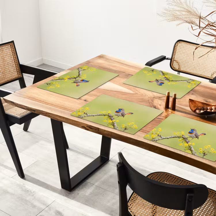 Vogel - Tak - Natuur - Kleurrijk Placemat vinyl groot -zzsfeer4_Kitchenyeah-website