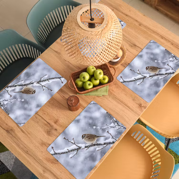 Vogel - Tak - Sneeuw - Winter Placemat vinyl groot -zzsfeer5_Kitchenyeah-website