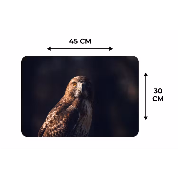 Roofvogel - Buizerd - Bruin Placemat vinyl groot -specs