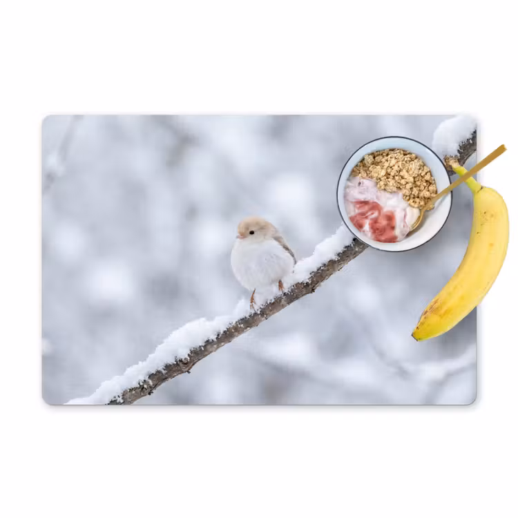 Vogeltje - Sneeuw - Tak - Winter - Zacht Placemat vinyl groot -zzzproduct_Kitchenyeah-website