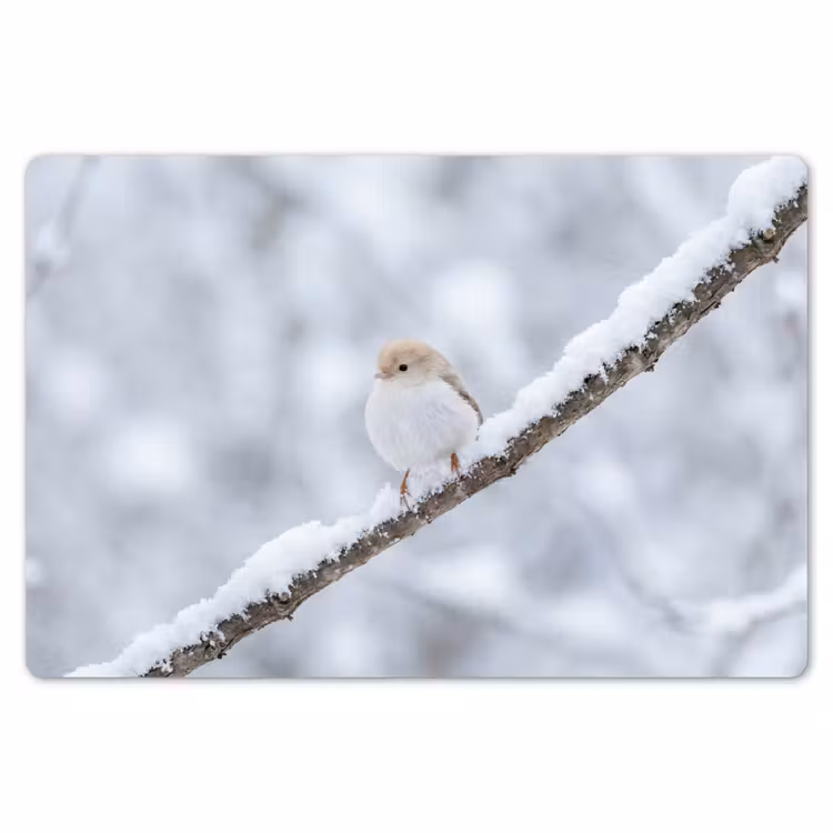 Vogeltje - Sneeuw - Tak - Winter - Zacht Placemat vinyl groot -zzsfeer1_Kitchenyeah-website