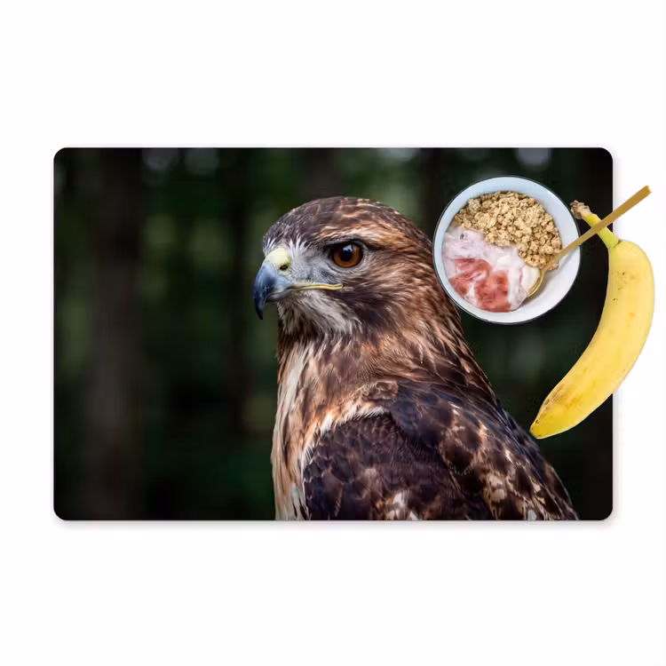 Buizerd - Roofvogel - Natuur - Bruin Placemat vinyl groot -zzzproduct_Kitchenyeah-website