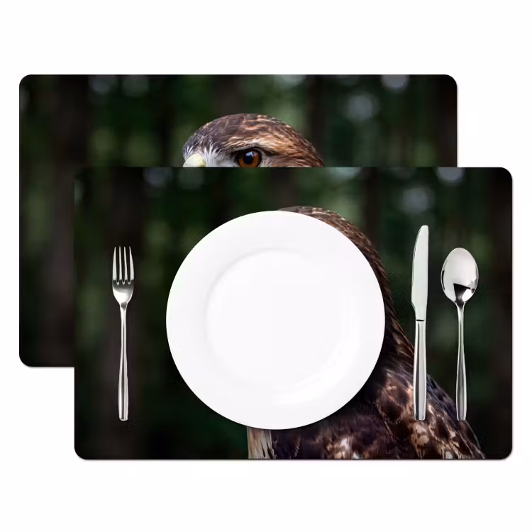 Buizerd - Roofvogel - Natuur - Bruin Placemat vinyl groot -zzsfeer2_Kitchenyeah-website