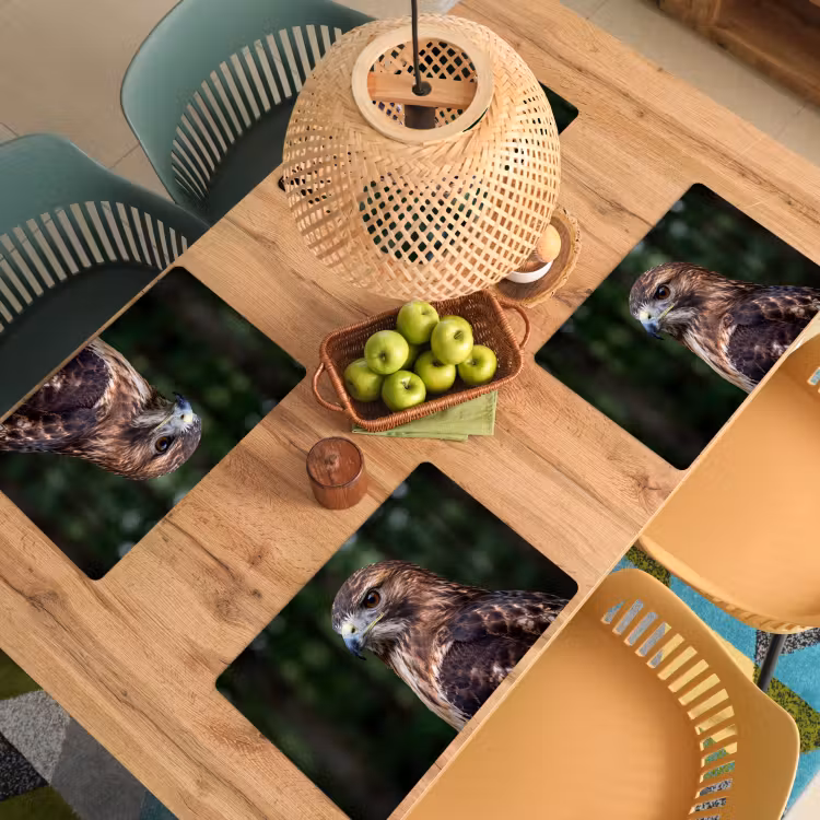 Buizerd - Roofvogel - Natuur - Bruin Placemat vinyl groot -zzsfeer5_Kitchenyeah-website