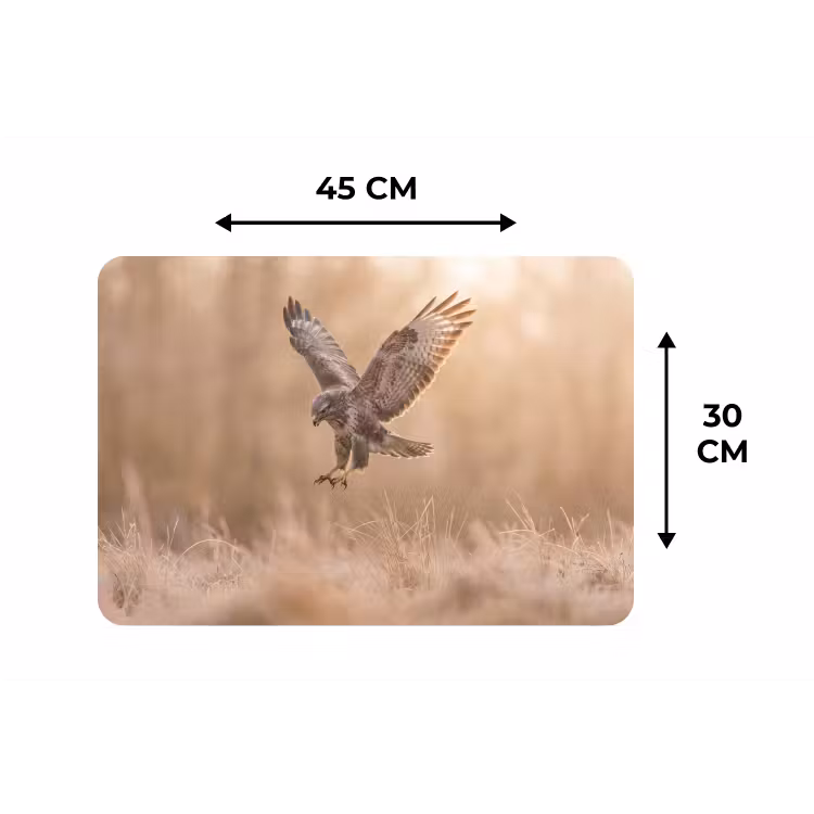 Buizerd - Roofvogel - Natuur - Bruin Placemat vinyl groot -specs