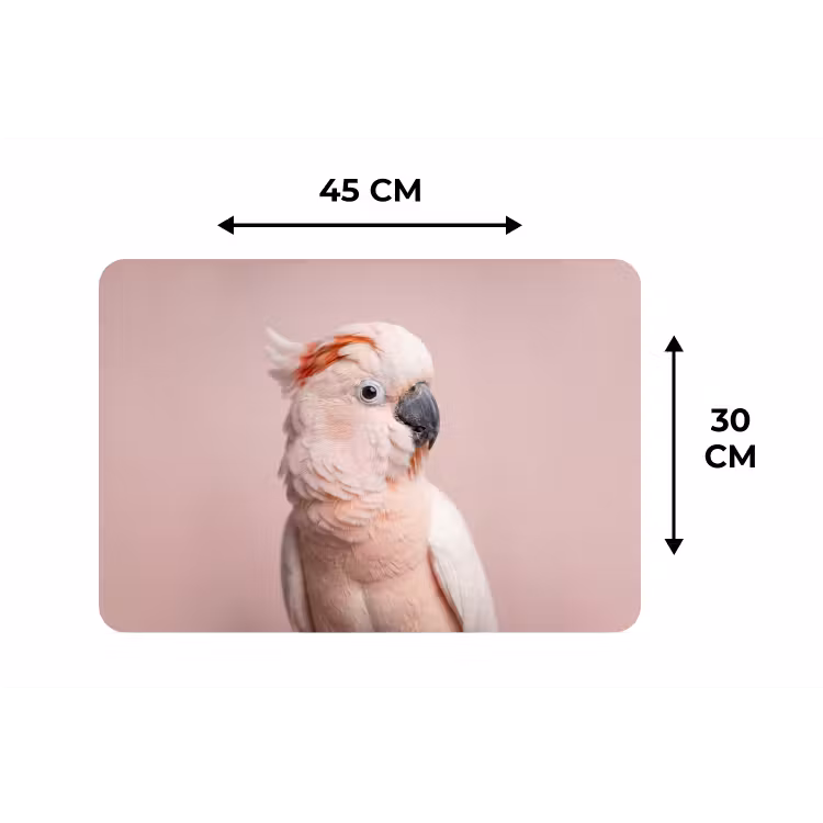 Kaketoe - Portret - Roze Placemat vinyl groot -specs