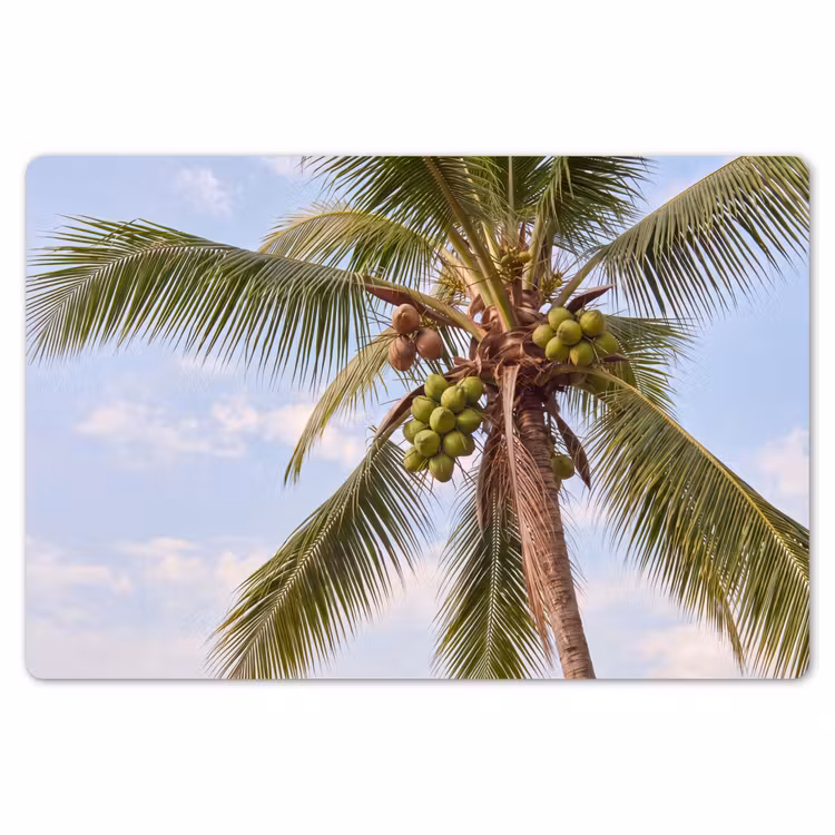 Kokosnoot - Boom - Tropisch - Natuur - Groen Placemat vinyl groot -zzsfeer1_Kitchenyeah-website
