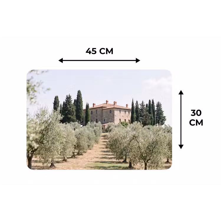 Placemat - 6 pieces - Country house - olive tree - orchard - Landhuis - olijfboom - gaard Placemat vinyl groot
