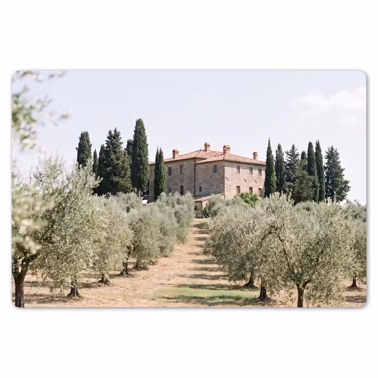 Placemat - 6 pieces - Country house - olive tree - orchard - Landhuis - olijfboom - gaard Placemat vinyl groot