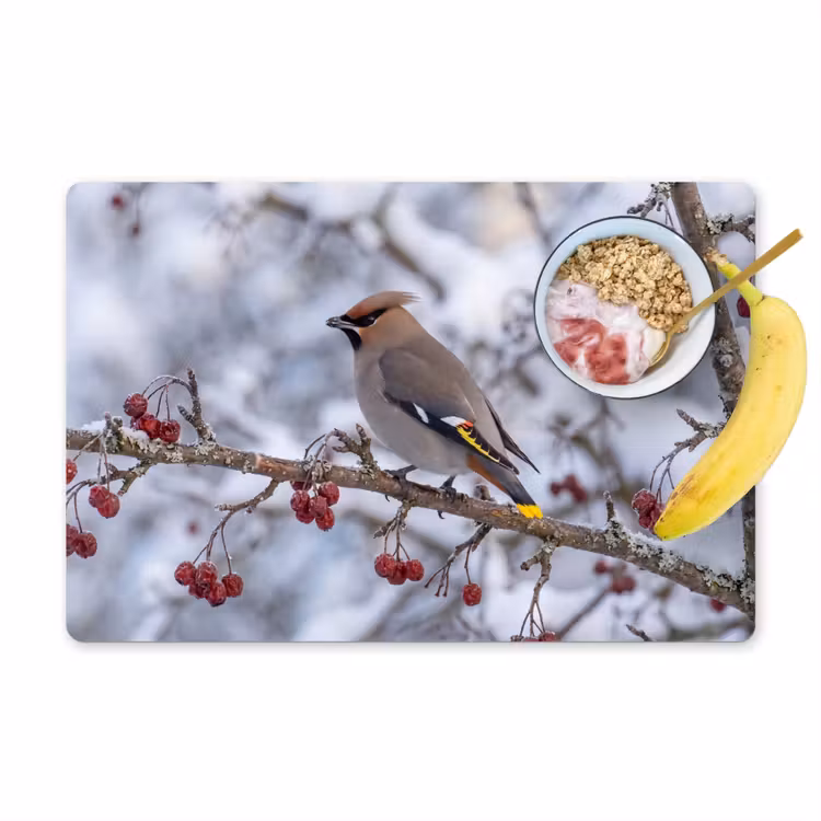 Pestvogel - Bessen - Winter - Natuur Placemat vinyl groot -zzzproduct_Kitchenyeah-website