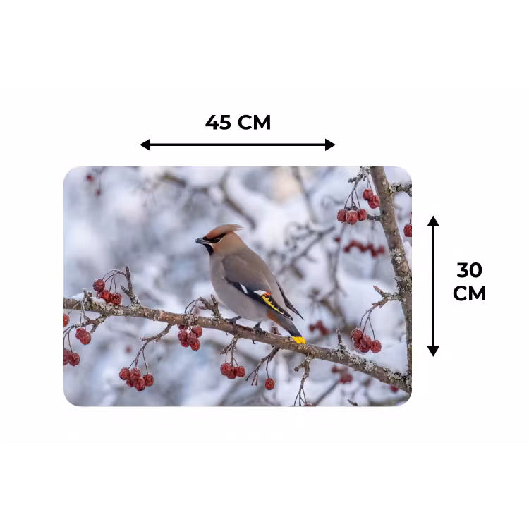 Pestvogel - Bessen - Winter - Natuur Placemat vinyl groot -specs