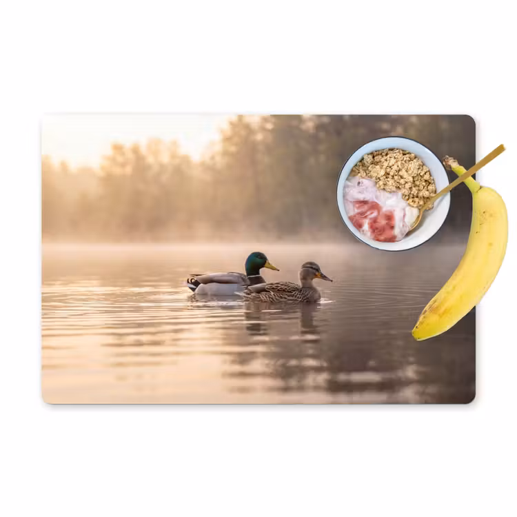 Eenden - Water - Mist - Natuur Placemat vinyl groot -zzzproduct_Kitchenyeah-website