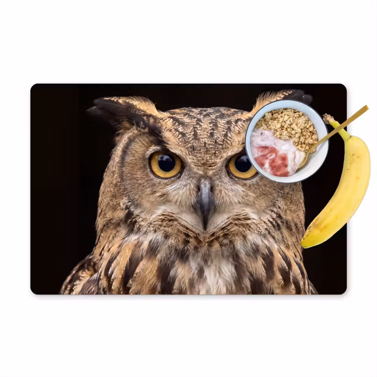 Oehoe - Uil - Portret - Bruin Placemat vinyl groot -zzzproduct_Kitchenyeah-website
