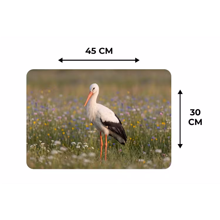 Ooienvaar - Bloemen - Weide - Kleurrijk Placemat vinyl groot -specs