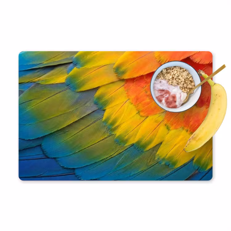 Veren - Ara - Kleurrijk Placemat vinyl groot -zzzproduct_Kitchenyeah-website