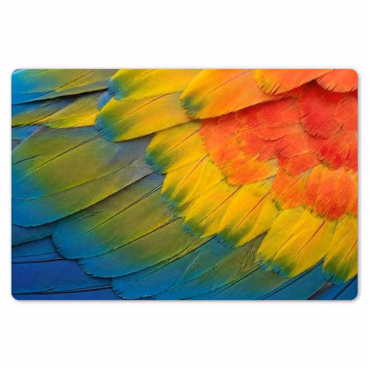 Veren - Ara - Kleurrijk Placemat vinyl groot -zzsfeer1_Kitchenyeah-website