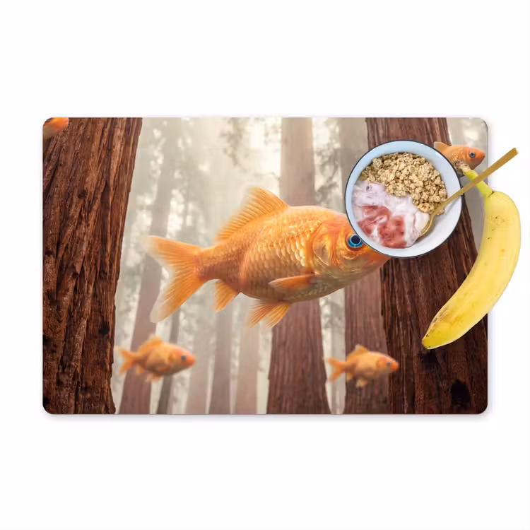 Placemat - 6 pieces - Fish - Forest - Fantasy - Vis - Bos - Fantasie Placemat vinyl groot