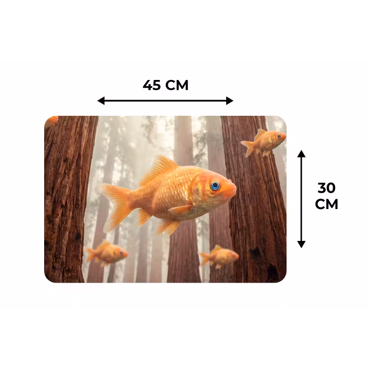 Placemat - 6 pieces - Fish - Forest - Fantasy - Vis - Bos - Fantasie Placemat vinyl groot