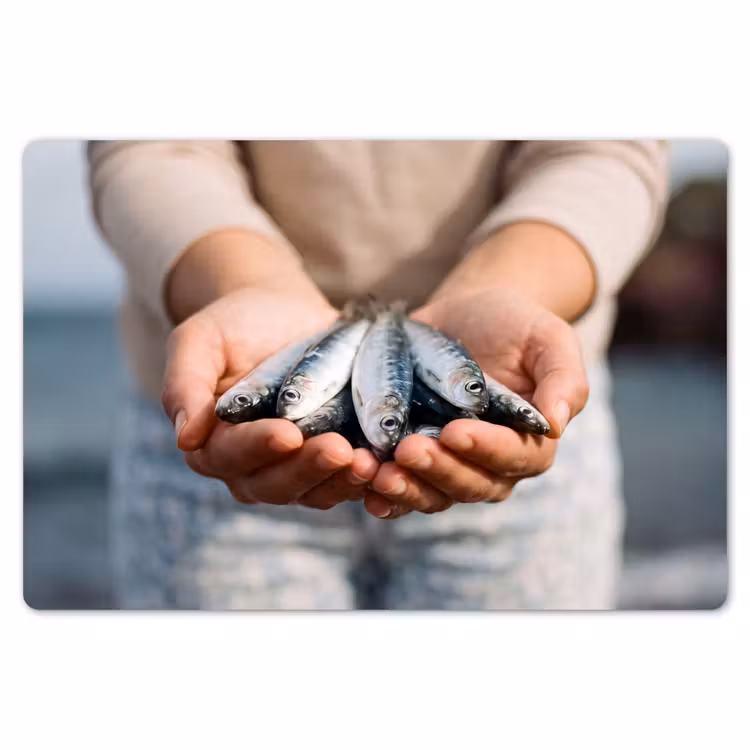 Placemat - 6 pieces - Fish - Hands - Nature - Vis - Handen - Natuur Placemat vinyl groot