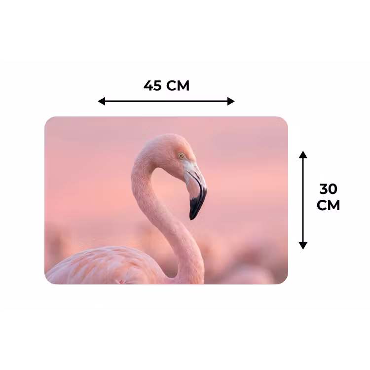 Flamingo - Portret - Roze Placemat vinyl groot -specs