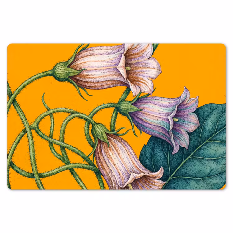 Placemat - 6 pieces - Flowers - Botanical - Yellow - Bloemen - Botanisch - Geel Placemat vinyl groot