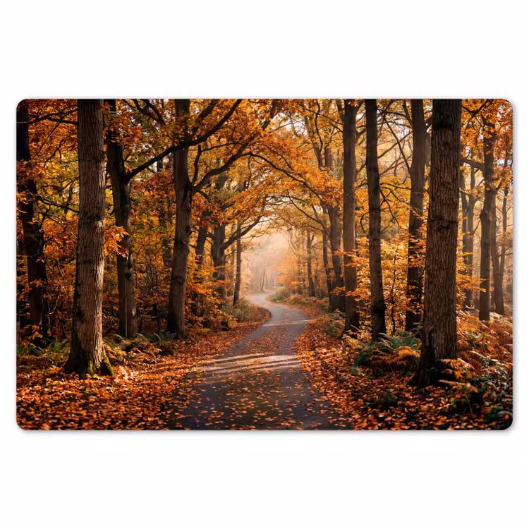 Bospad - Herfstbos - Bladeren - Oranje - Nostalgisch Placemat vinyl groot -zzsfeer1_Kitchenyeah-website