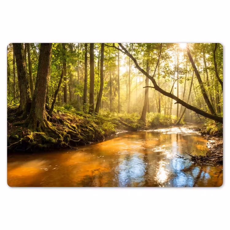 Bos - Beek - Zonlicht - Natuur - Groen Placemat vinyl groot -zzsfeer1_Kitchenyeah-website