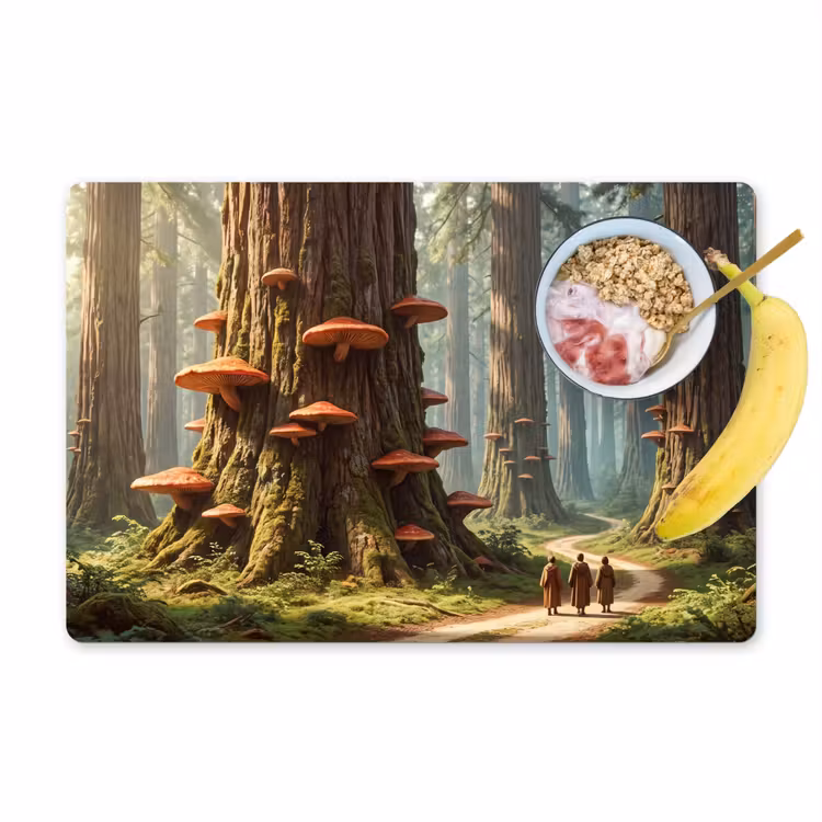 Placemat - 6 pieces - Forest - Trees - Nature - Bos - Bomen - Natuur Placemat vinyl groot