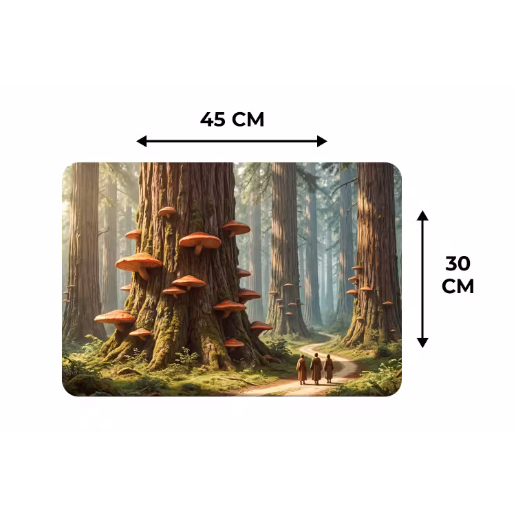 Placemat - 6 pieces - Forest - Trees - Nature - Bos - Bomen - Natuur Placemat vinyl groot
