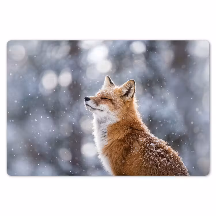 Vos - Sneeuwval - Portret - Winter - Sfeervol Placemat vinyl groot -zzsfeer1_Kitchenyeah-website