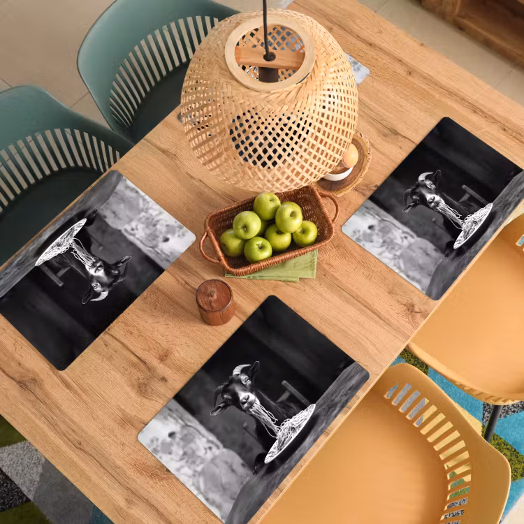 Geit - Bord - Spaghetti - Zwart Wit Placemat vinyl groot -zzsfeer5_Kitchenyeah-website