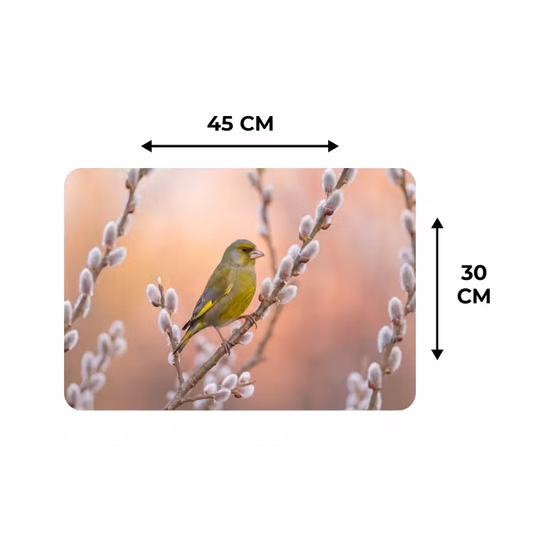 Groenling - Katjes - Lente - Natuur - Zacht Placemat vinyl groot -specs
