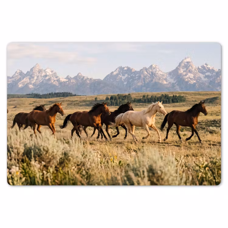Paarden - Kudde - Bergen - Vrijheid - Wild Placemat vinyl groot -zzsfeer1_Kitchenyeah-website