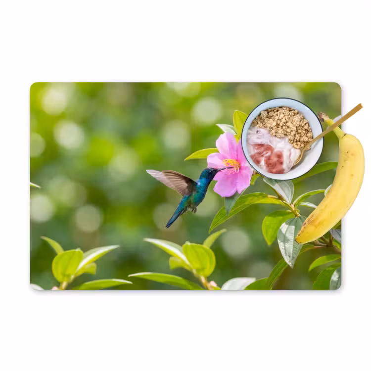 Kolibrie - Bloem - Natuur - Groen Placemat vinyl groot -zzzproduct_Kitchenyeah-website