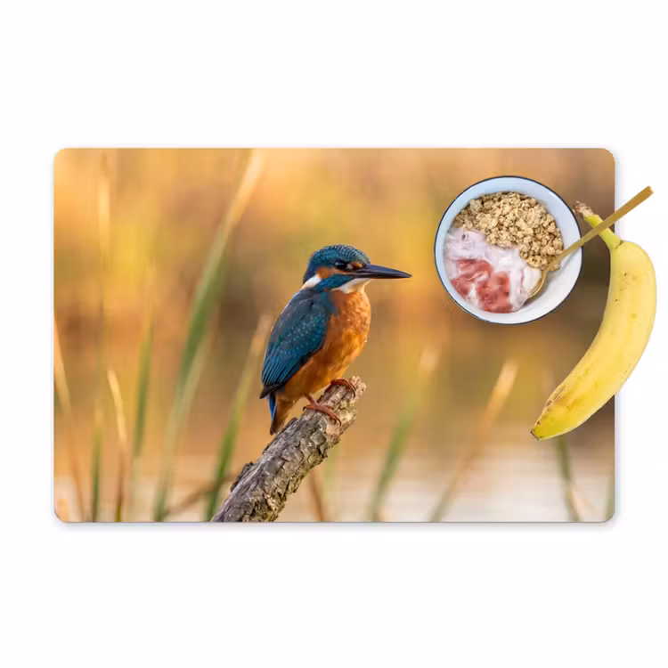 IJsvogel - Tak - Water - Kleurrijk - Levendig Placemat vinyl groot -zzzproduct_Kitchenyeah-website