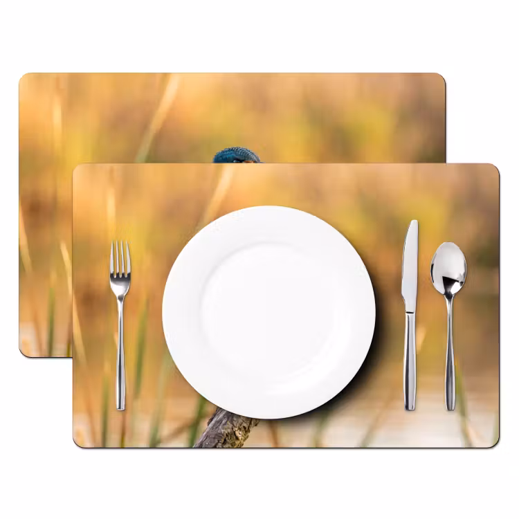 IJsvogel - Tak - Water - Kleurrijk - Levendig Placemat vinyl groot -zzsfeer2_Kitchenyeah-website
