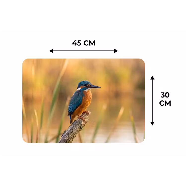 IJsvogel - Tak - Water - Kleurrijk - Levendig Placemat vinyl groot -specs