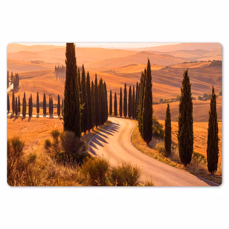 Landschap - Weg - Bomen - Natuur - Goud Placemat vinyl groot -zzsfeer1_Kitchenyeah-website