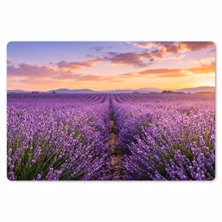 Lavendel - Veld - Natuur - Paars Placemat vinyl groot -zzsfeer1_Kitchenyeah-website