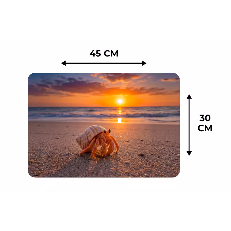 Kreeft - Strand - Natuur - Zonsondergang - Oranje Placemat vinyl groot -specs